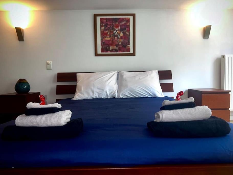 Down Town Spacious Duplex With Private Parking & Game Room Brussels Ngoại thất bức ảnh